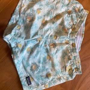 Patagonia Baggie Shorts